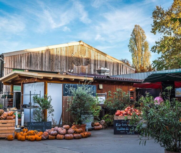 Johanneshof INNOV8 Studios